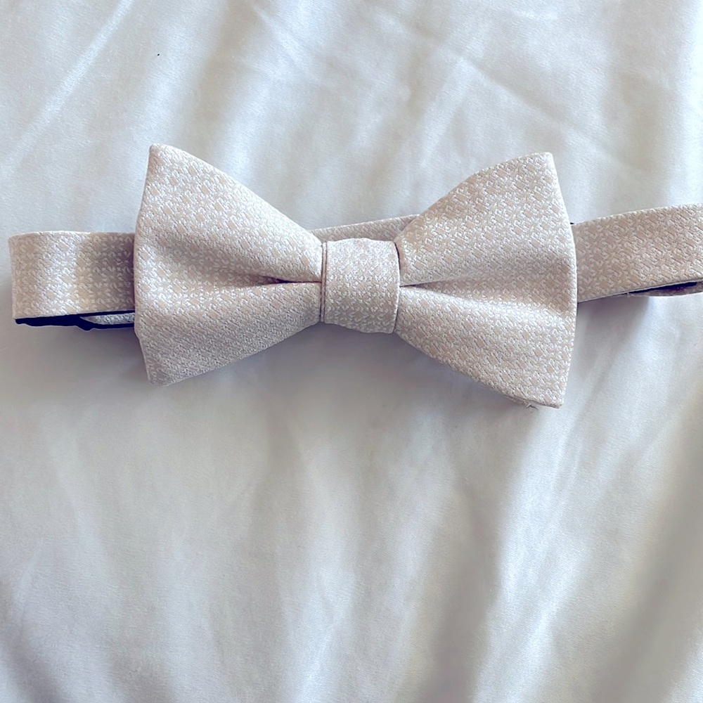 Alfani bow tie.